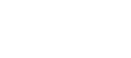 Paz Economics and Engineering logo